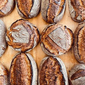 DURUM INTENSE  (25 KG /BG)